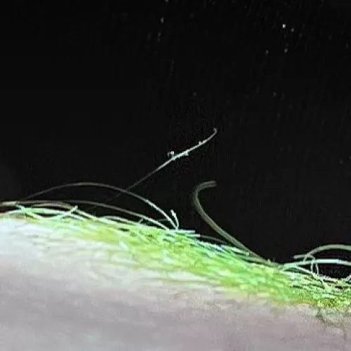 Thank you for electric lizard color recommendation- it’s exactly as bright as I wanted 💚 by cvnthoney