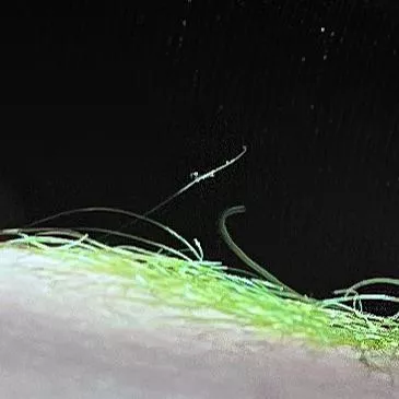 Thank you for electric lizard color recommendation- it’s exactly as bright as I wanted 💚 posted by cvnthoney