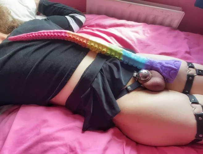 This 20 inch tentacle makes my nub cage look even smaller! 🤭💗 by rainbow-femboy