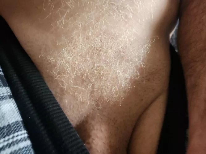 what color this time? by Hotdikinsider1