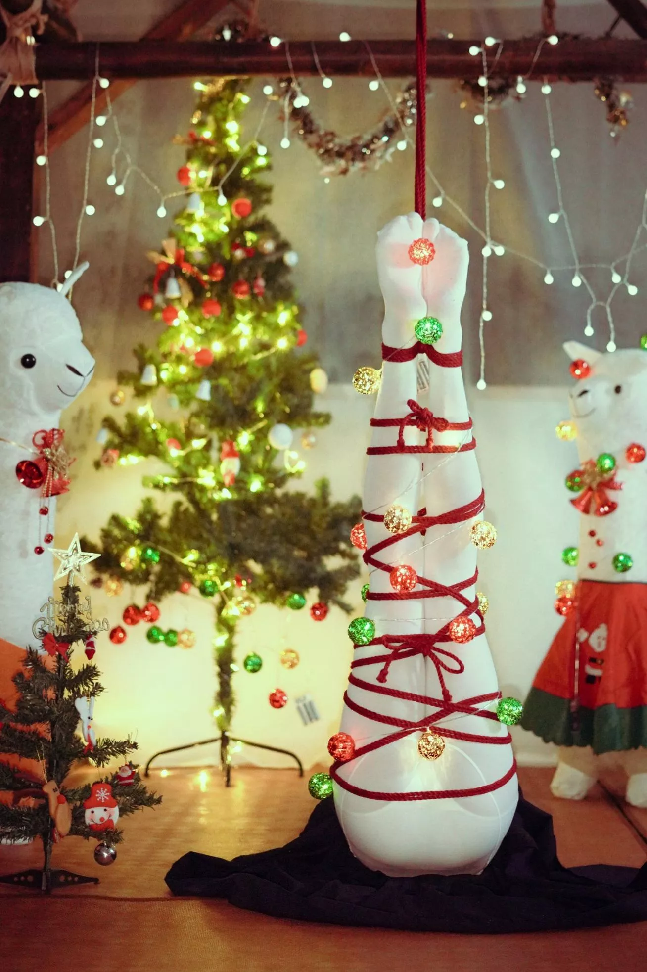 When my owner said she need a Christmas tree posted by Doll_petgirl