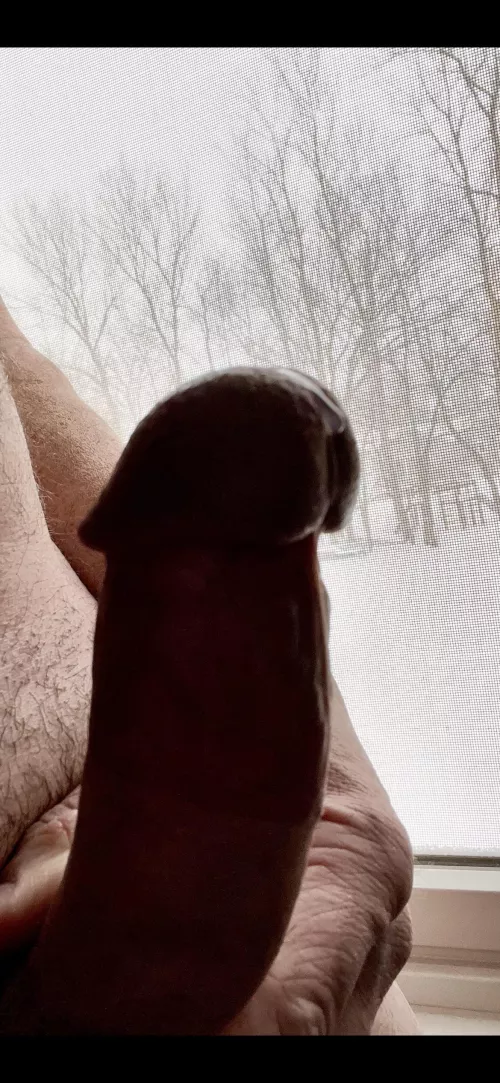 Winter drip by Hadj311