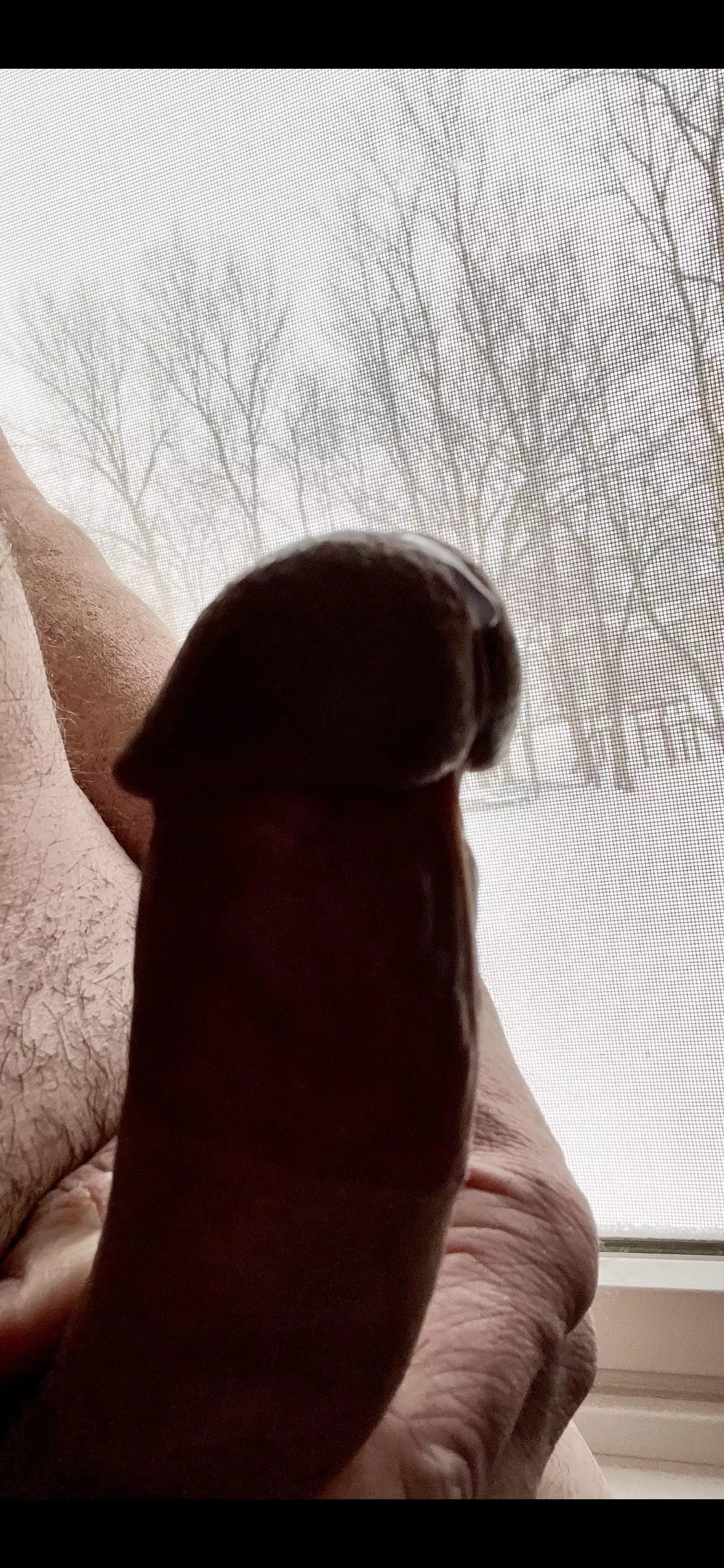 Winter drip posted by Hadj311