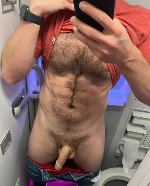 (35) Do you like soft airplane cock? by Dollar-Dick