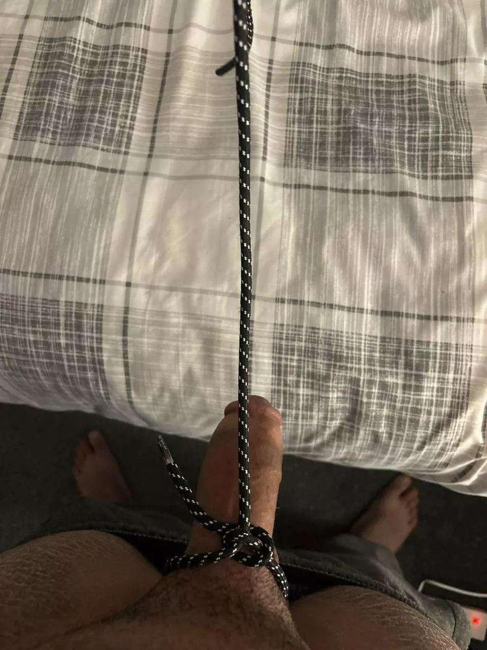 A great way to have your subs propperly controled posted by mommydrax