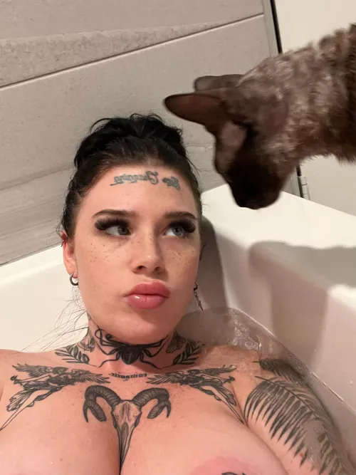 Anyone like kitties? by lildemonwaifu