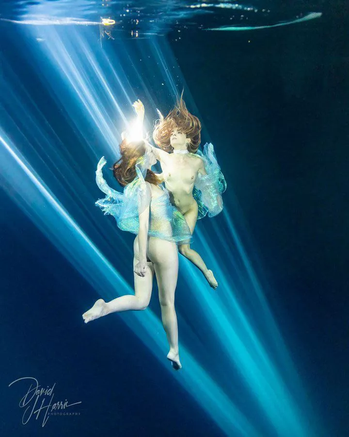 David Harris - In light posted by IAmSnort