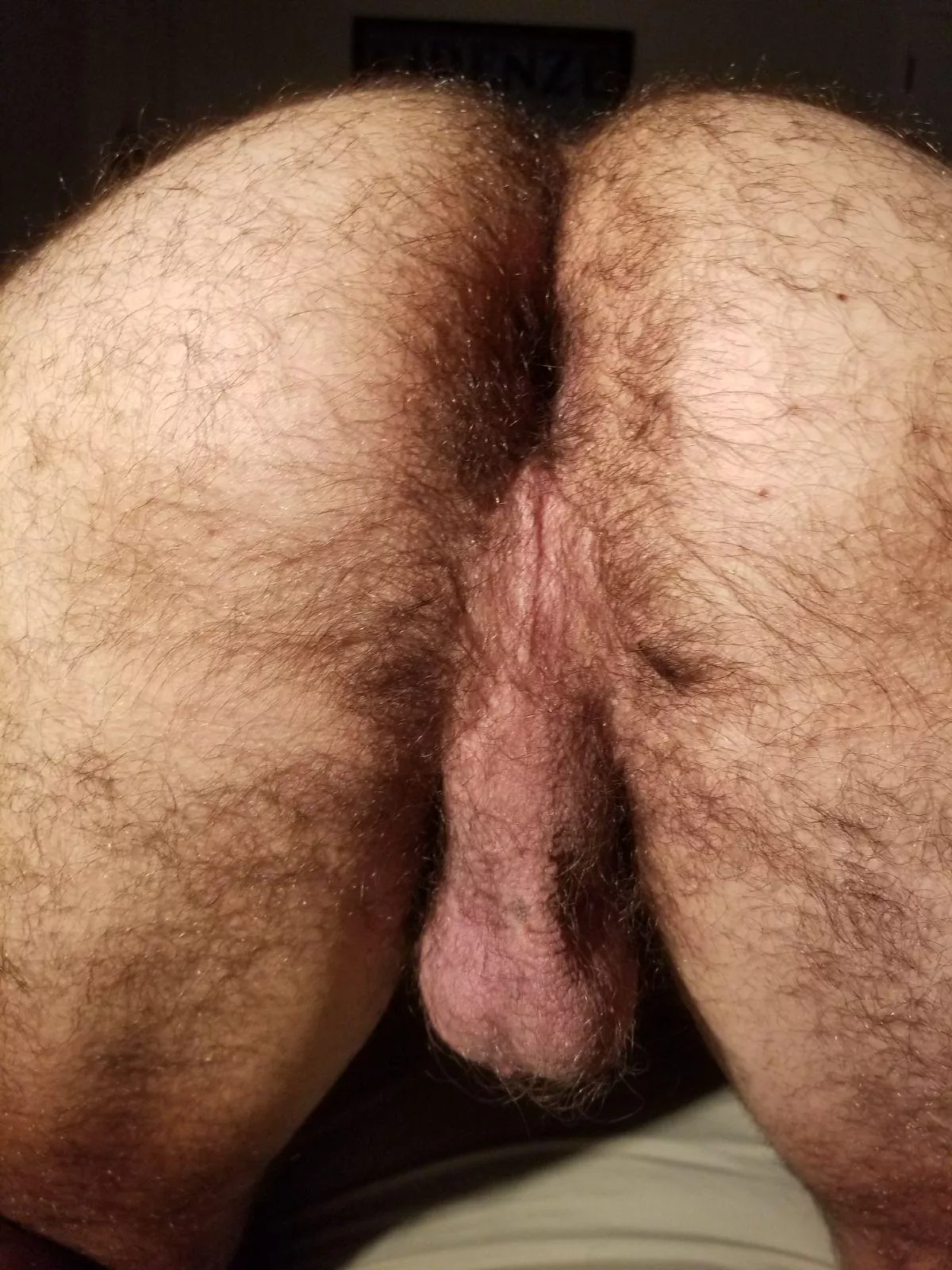 Fuzzy muscle hole for you posted by InternalMundane478