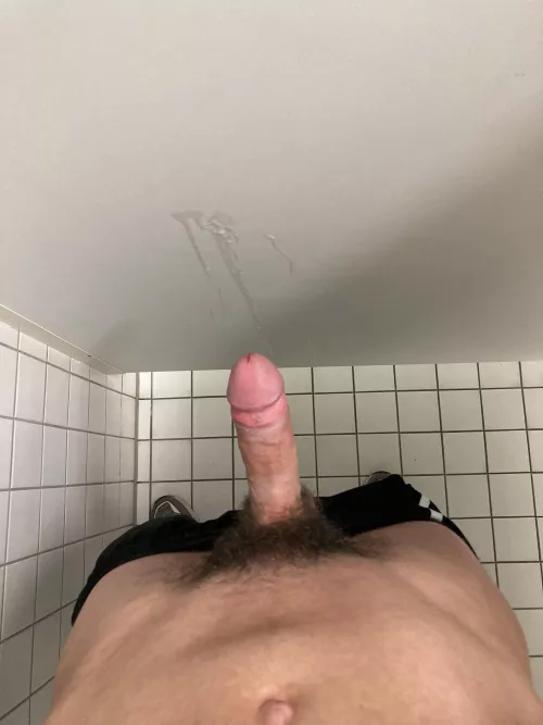 Hairy cock in the toilet by Zemo1903