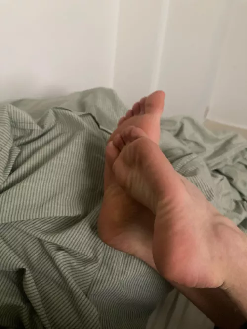 Hello by Excellent_Ad_1647