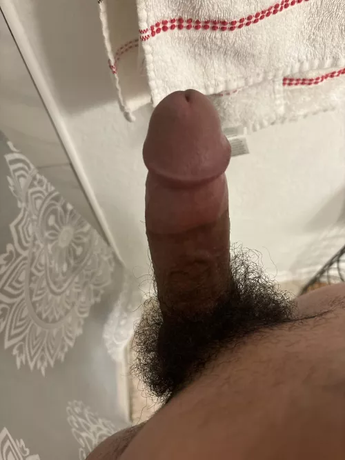 Hispanic dick by evilsliverboy