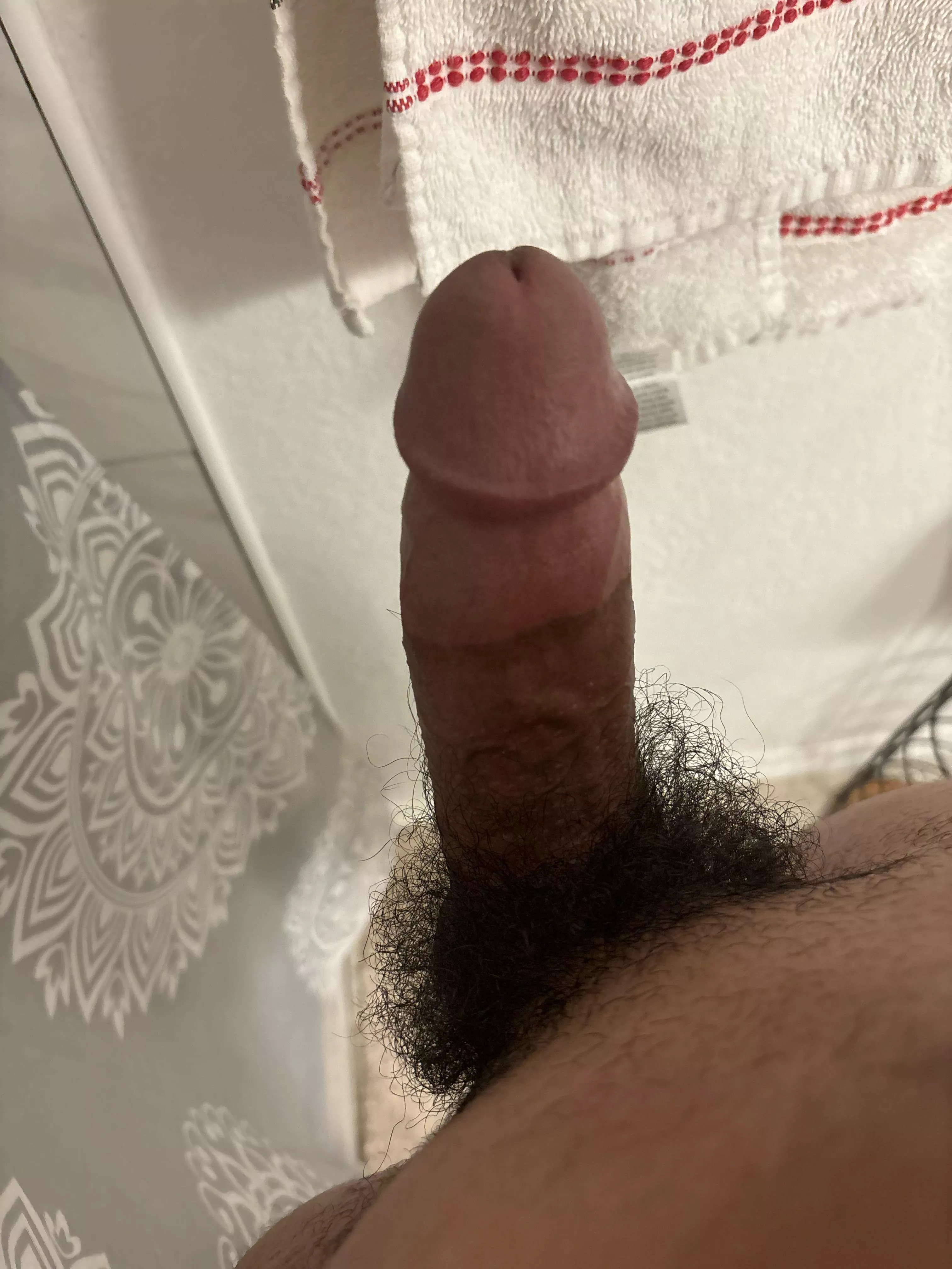 Hispanic dick posted by evilsliverboy