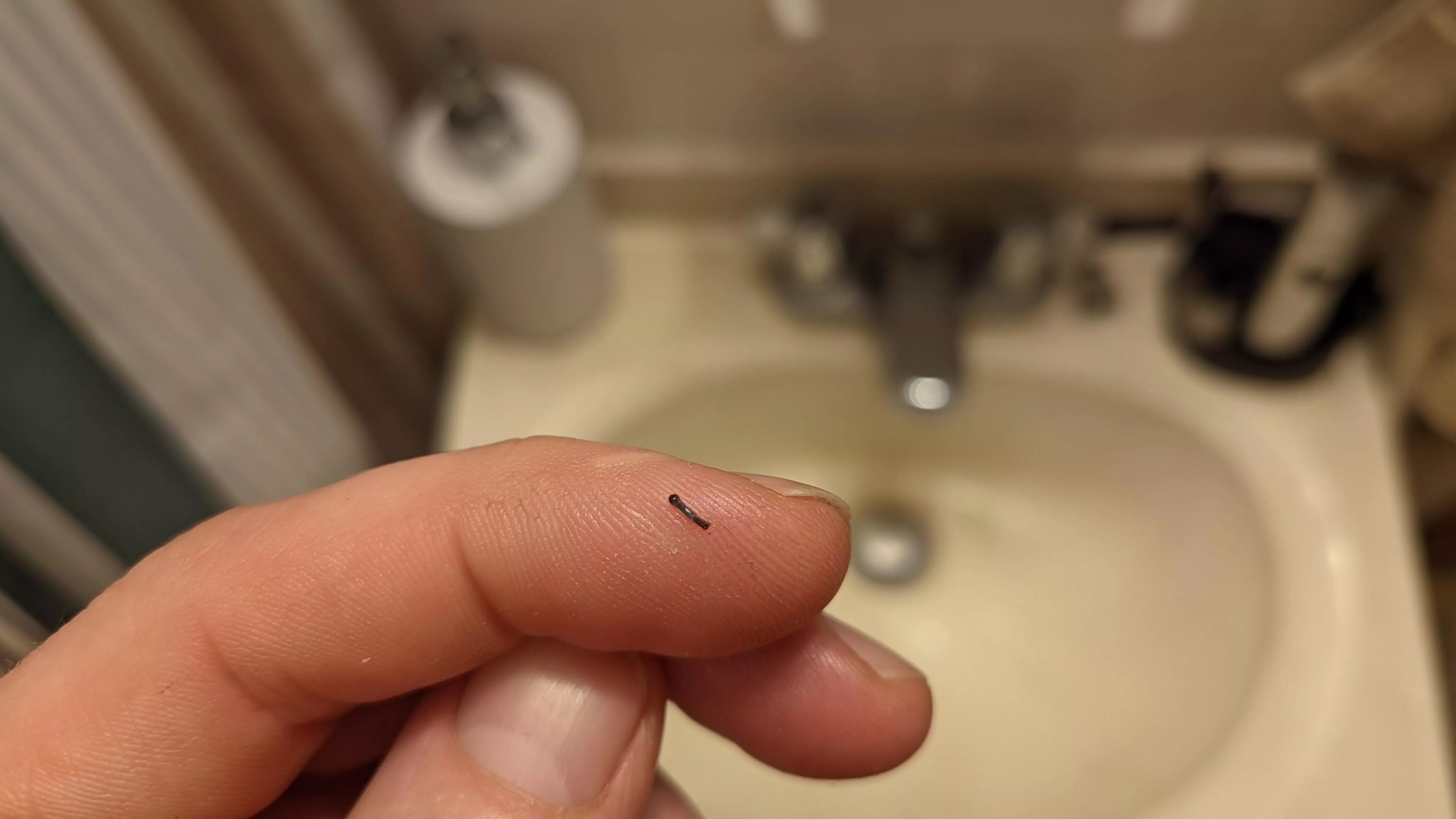 I don't know if this belongs here.... I pulled this out of my face this morning just before I shaved and it felt awesome! posted by UrAverageDegenerit