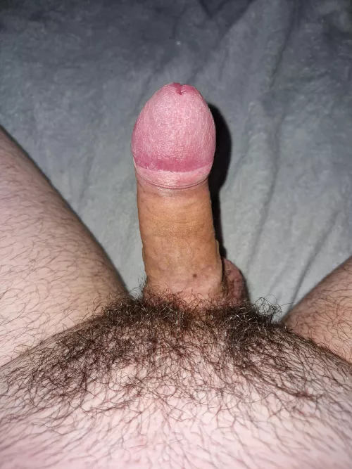 Letting it grow by Glass_Locksmith_4412