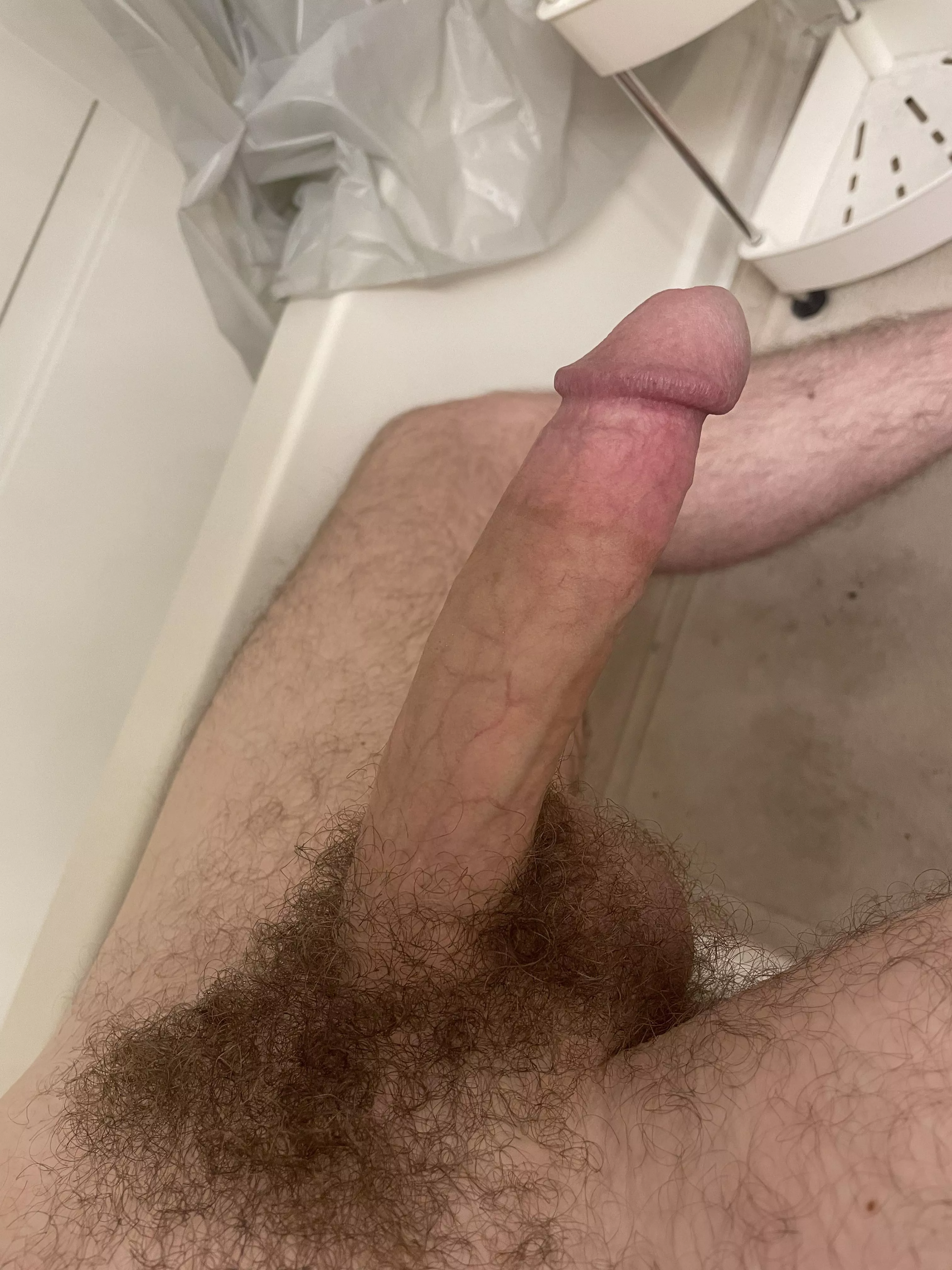 Like my monster cock? posted by Litwick12