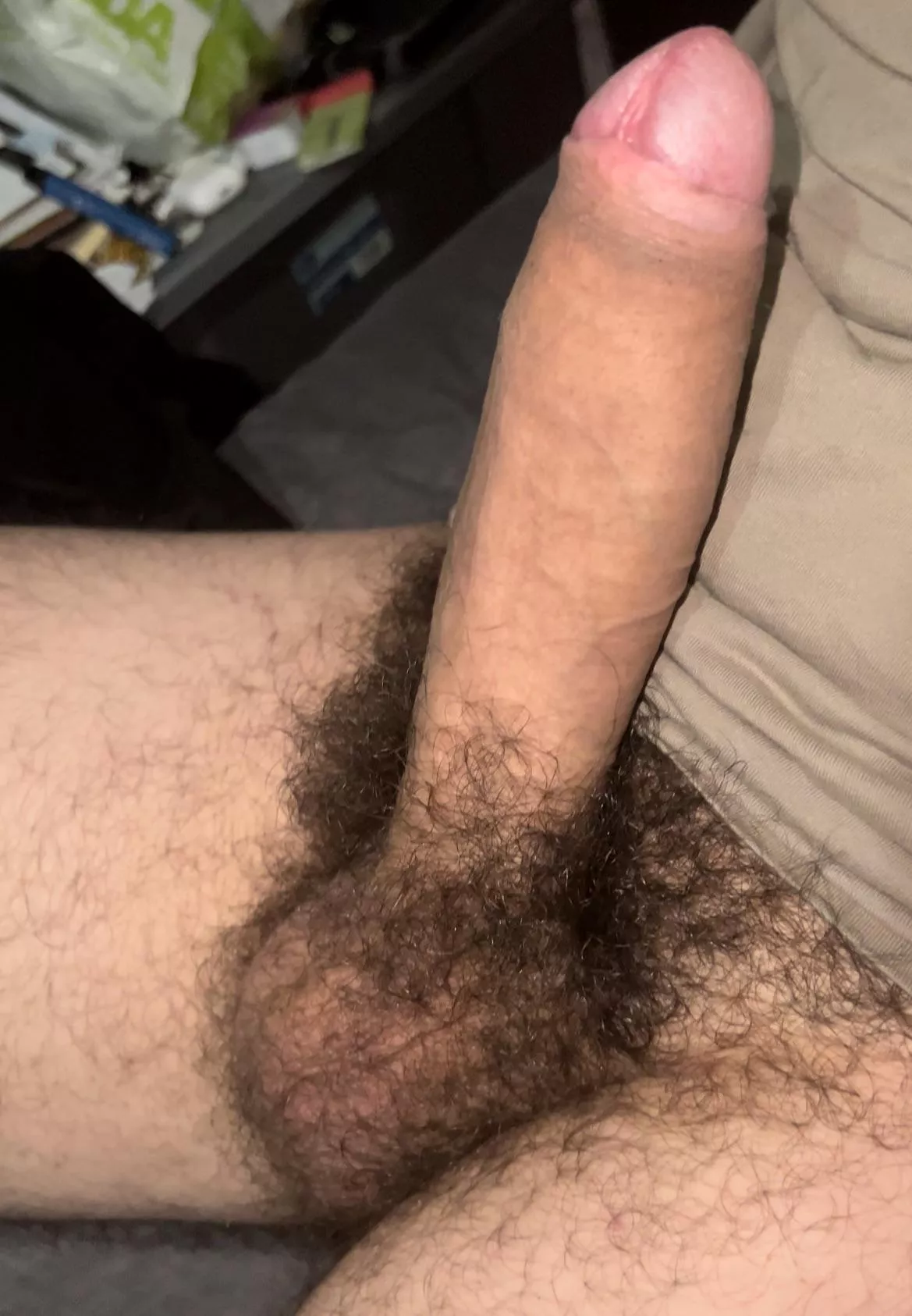 Look how huge my bush is. You like it?😏🍆Dms open😈 posted by HungYoungAlpha-
