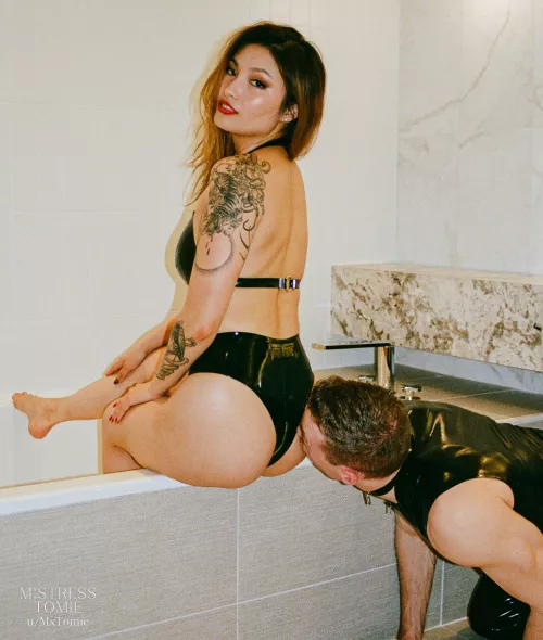 My little pet helps keep everything shiny by mxtomie