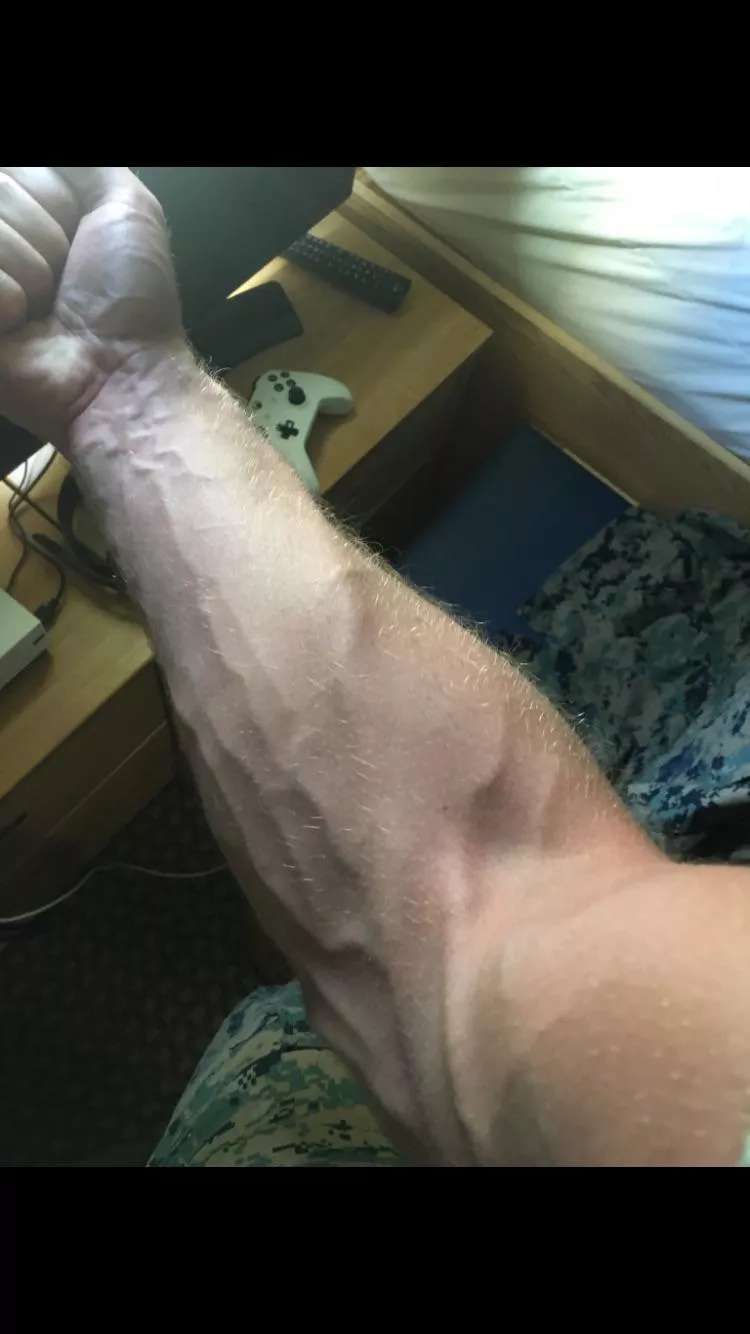 Need something new to grab posted by No-Yellow1404