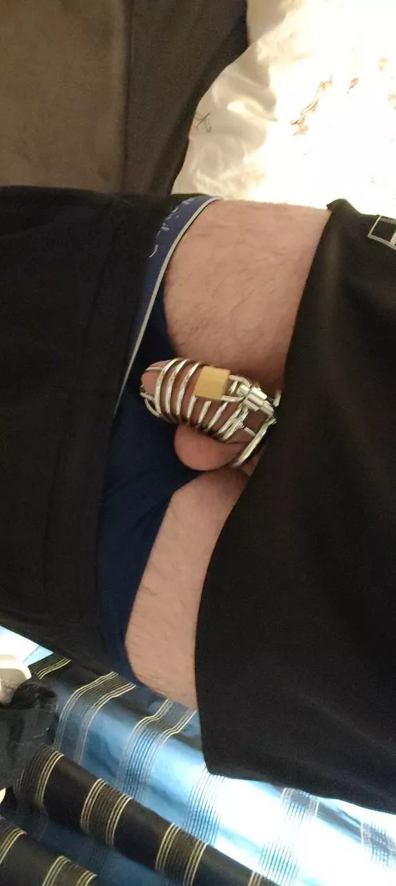 New to chastity posted by loser0246