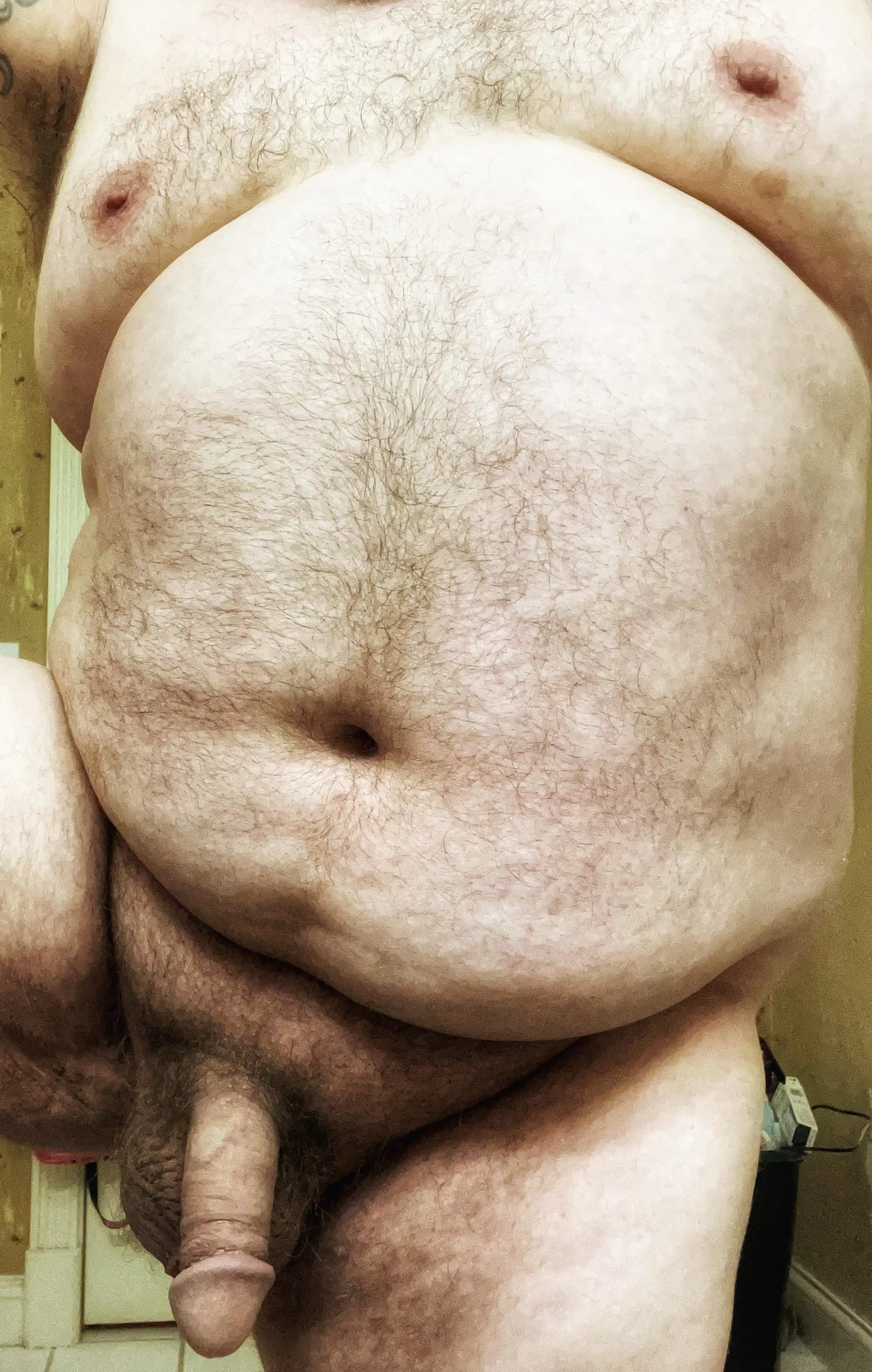 Older Bear that loves to show off. posted by TabacBear