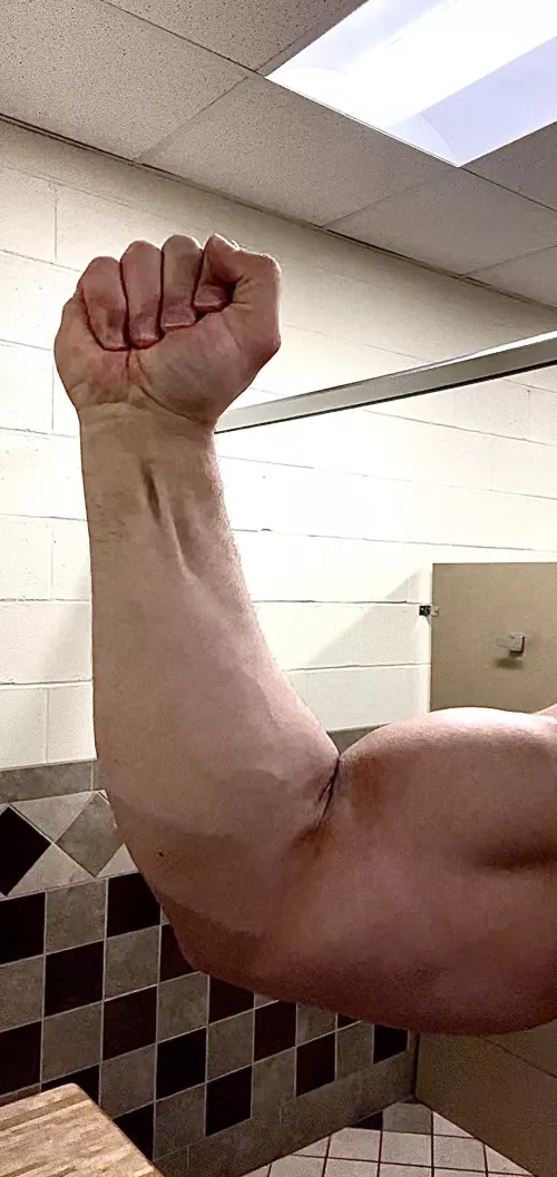 Post arm day flex by MrBigDaddyBuff