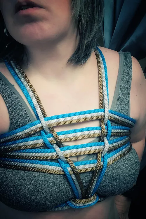 Same colors, different tie. by JournieRae