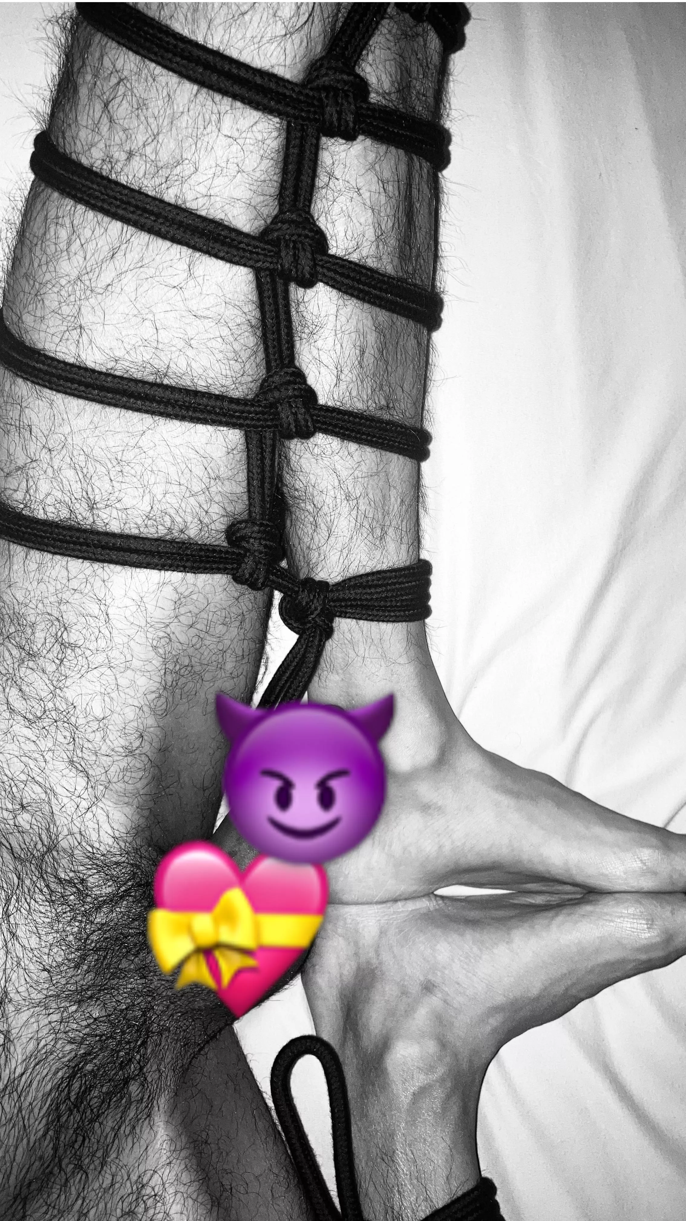 Self tie posted by IntroductionBasic587