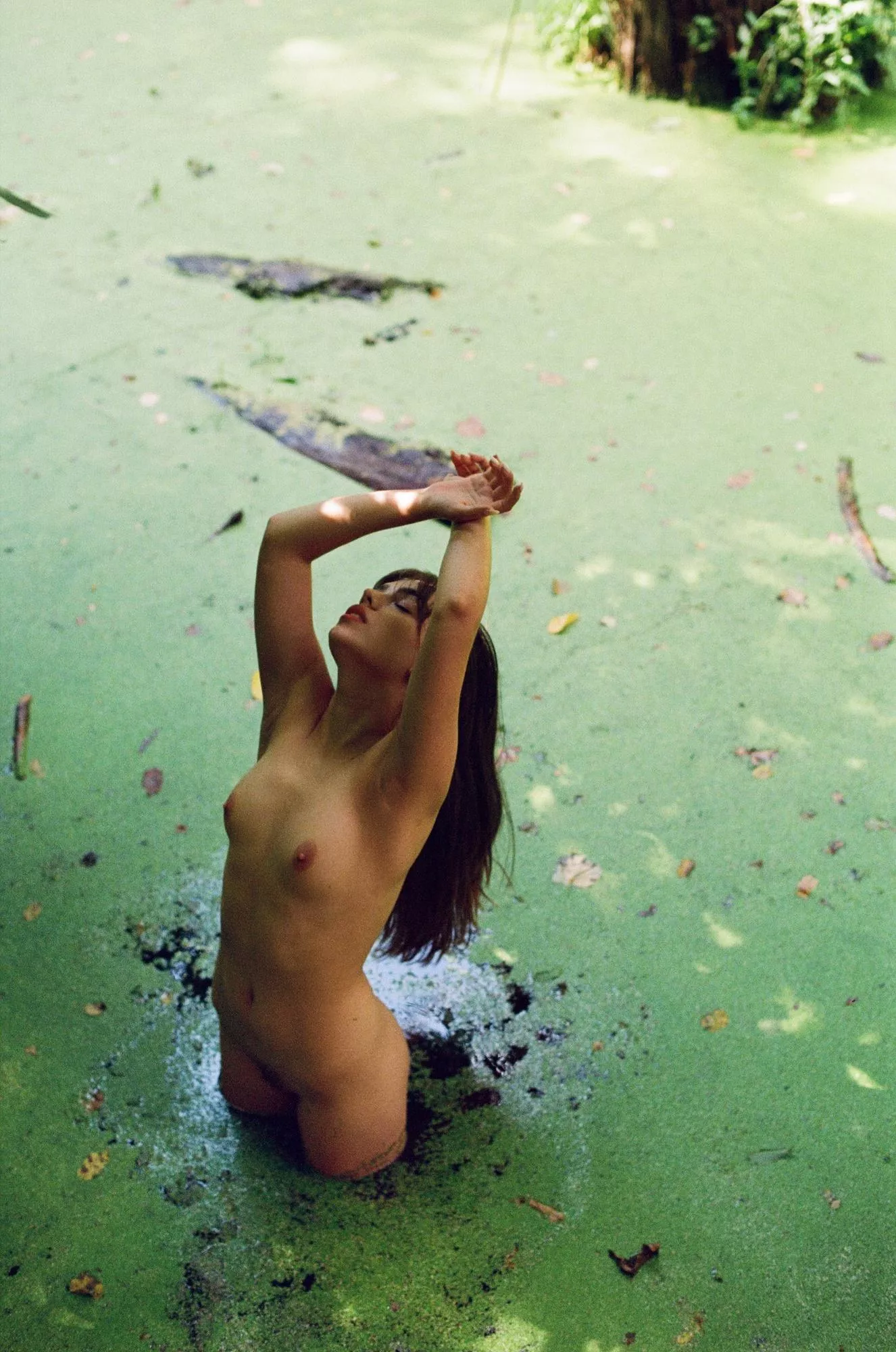 Swamp Nymph by Nazar Elcansky posted by elcansky