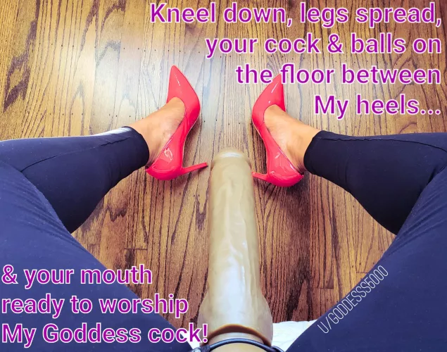 The worshipping that happens before I ram it in! by Goddesss5000