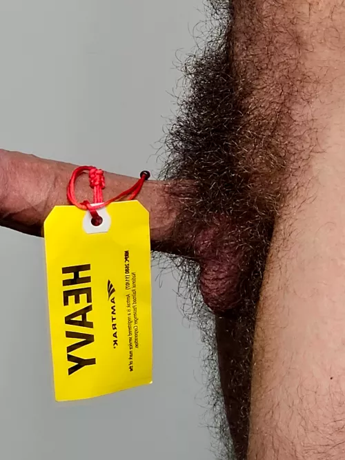 Will wait a little more to see how bushy it could be. by Hungry_Moose2523