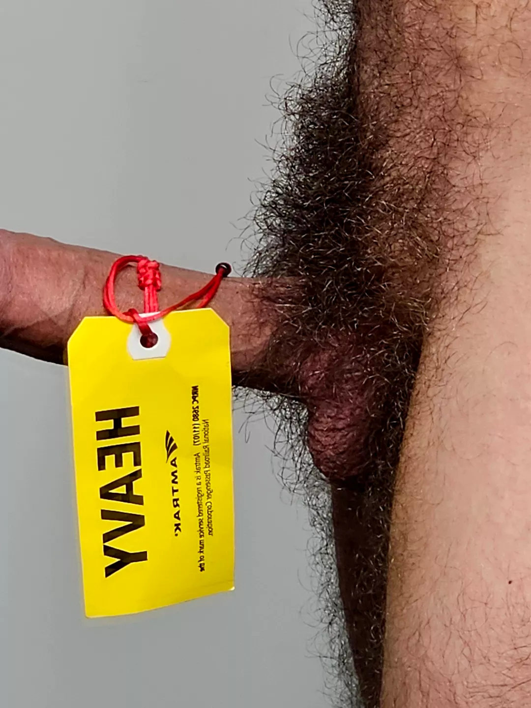 Will wait a little more to see how bushy it could be. posted by Hungry_Moose2523