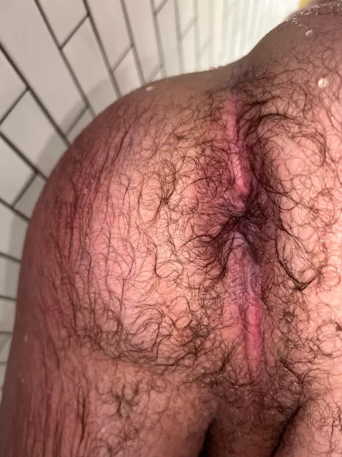 (20) how does my hairy ass look wet? by bobbymonny202103