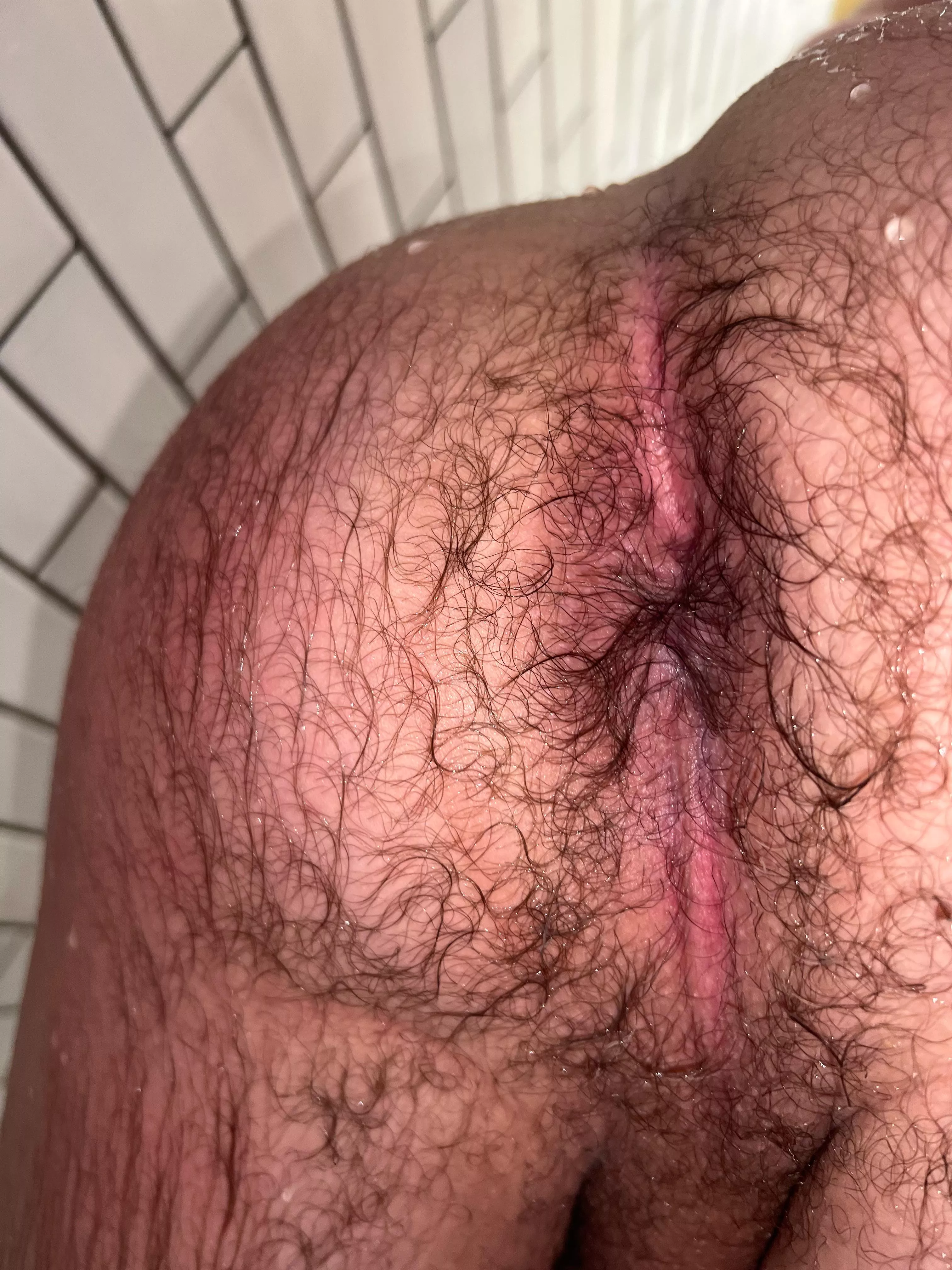 (20) how does my hairy ass look wet? posted by bobbymonny202103