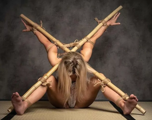 Bamboo Bound. by MonoGlover