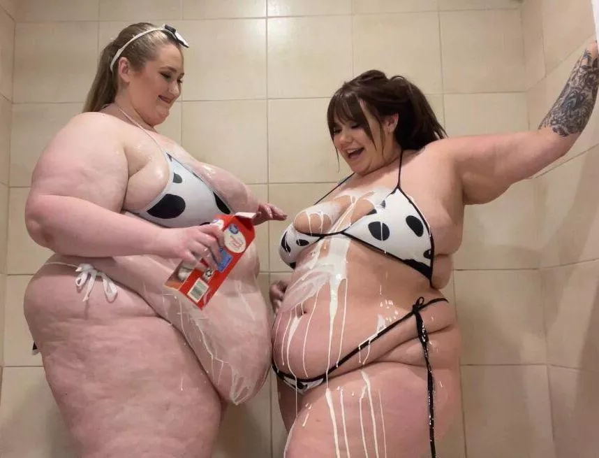 Cows posted by Great-Process-251