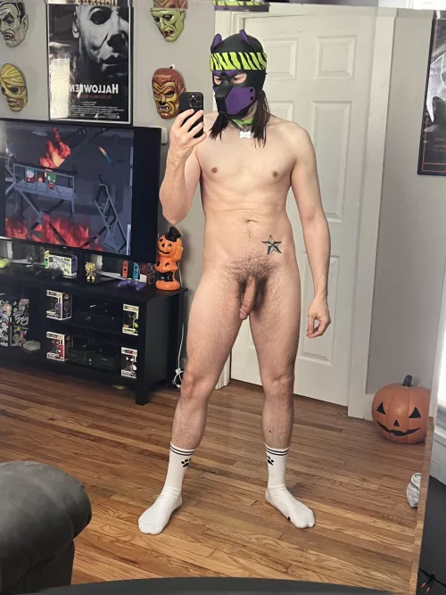 Good naked morning pups! by PupRetRow