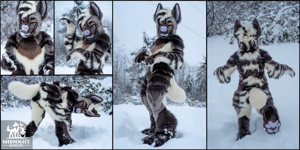 Gray Hyena by MidnightMakers