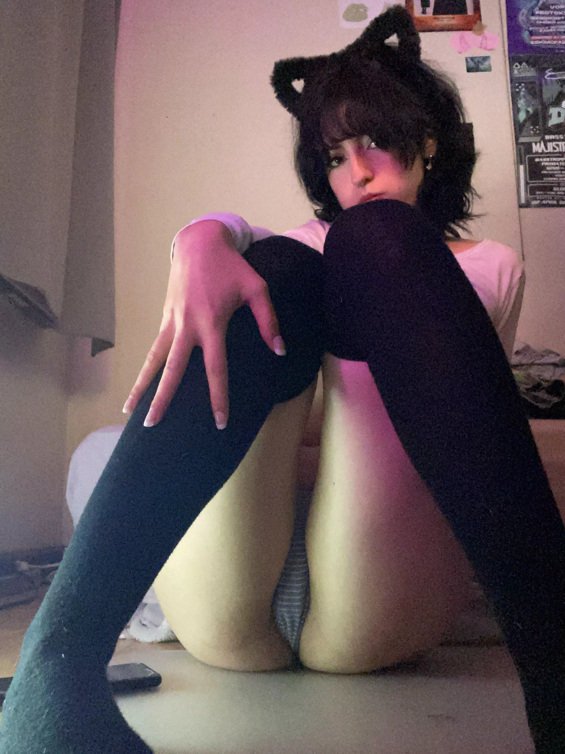 I bet daddy is in need of a kitty gf posted by Spirited_Aspect_2473