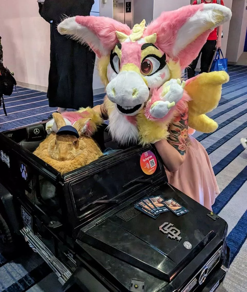 I met this chonker at FC! posted by KohanaCat