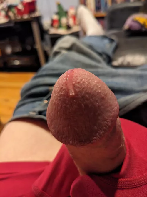 I'm new here, hi by Plenty_Tiger9