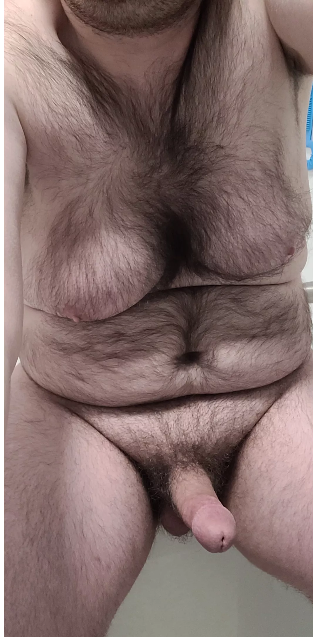 In my lap or on your knees...your choice posted by PM_ME_FATGIRLS