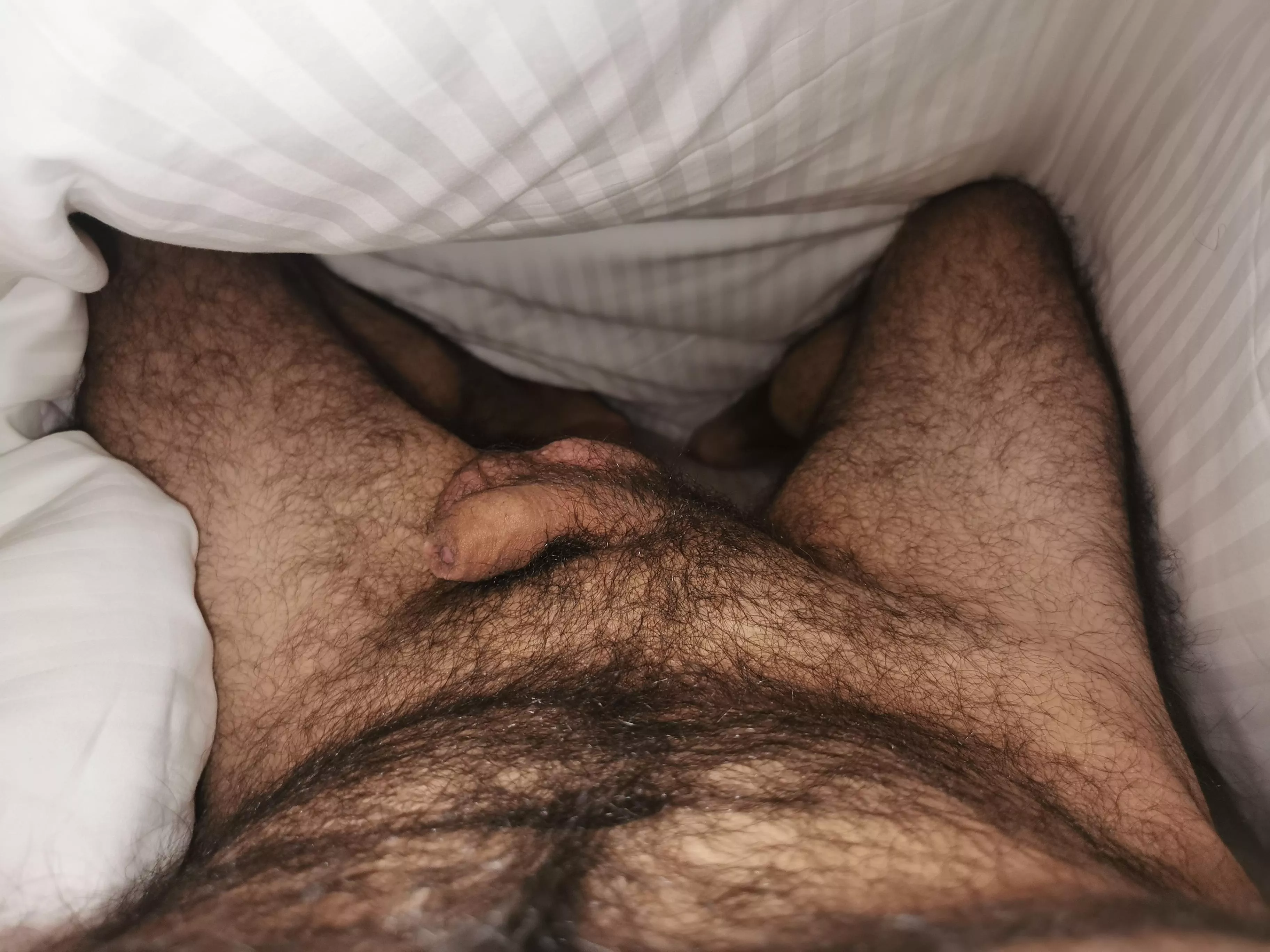 Look what's hiding under... posted by mzdxds