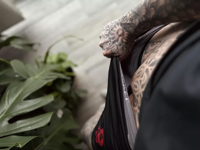 Looks alright to me by anneamor