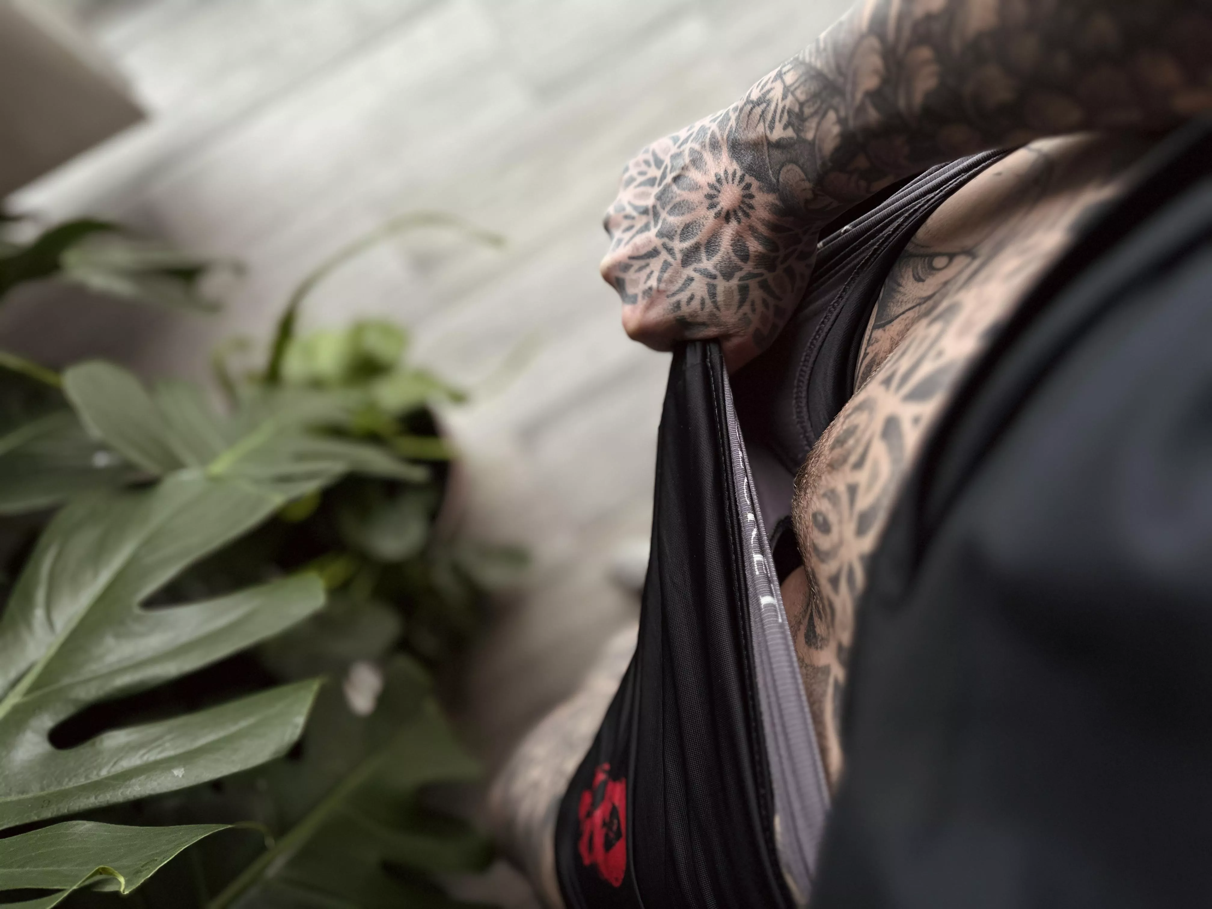 Looks alright to me posted by anneamor