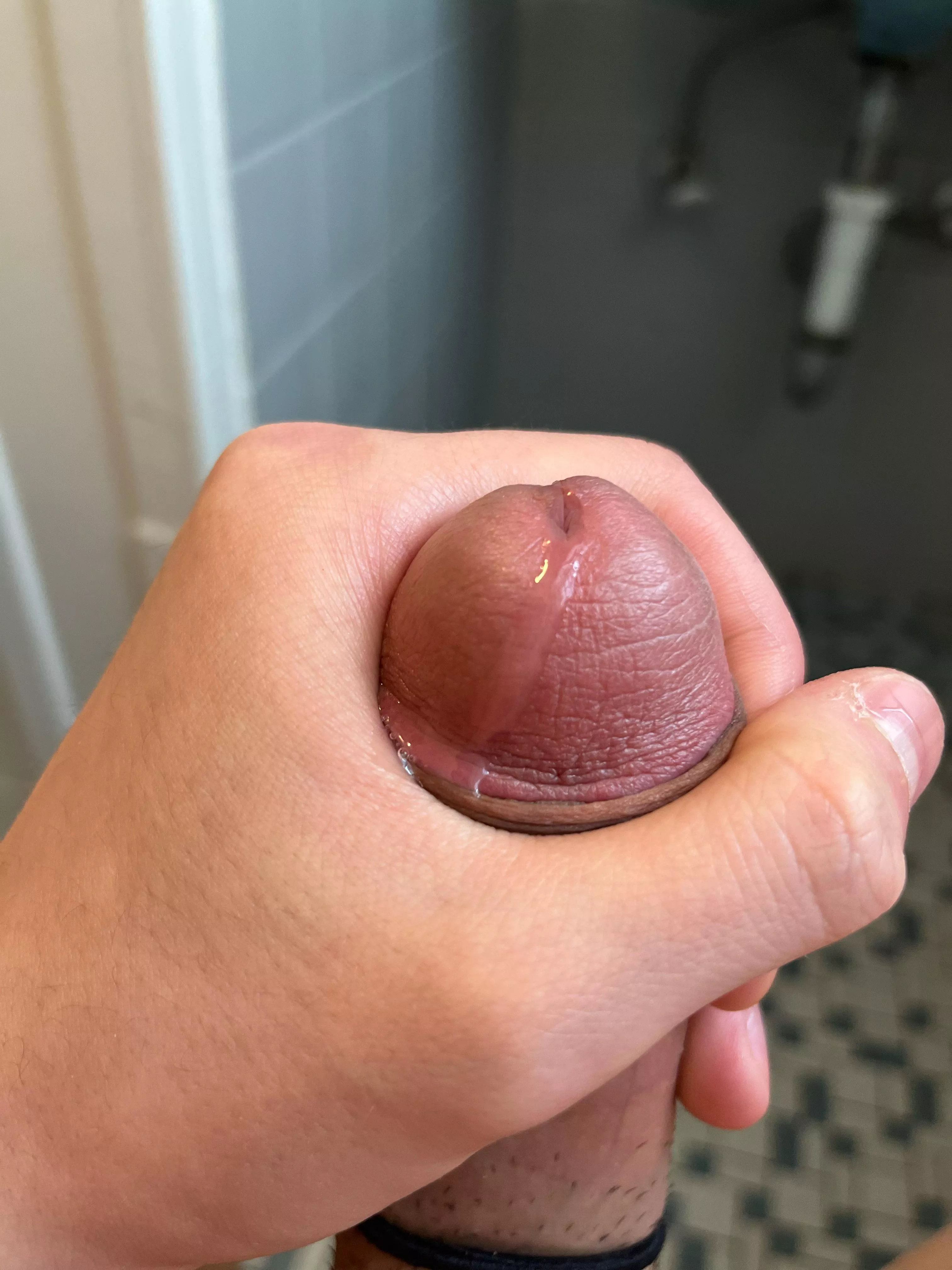 Love it posted by Prudent-Intention-99