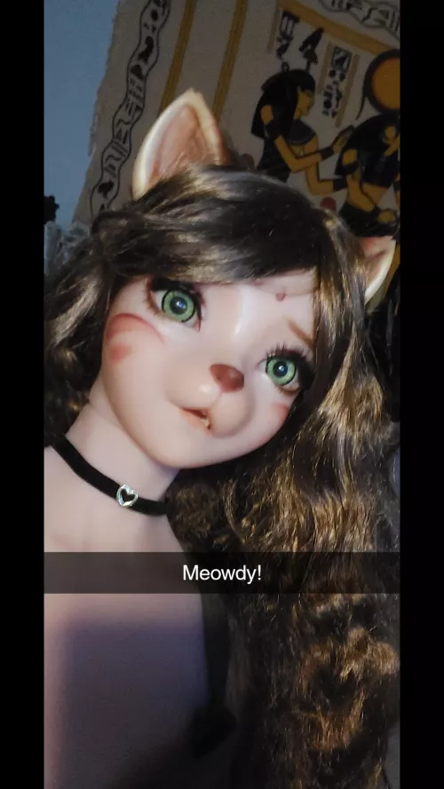 Lynxa stole my phone! by Sooner_crafter