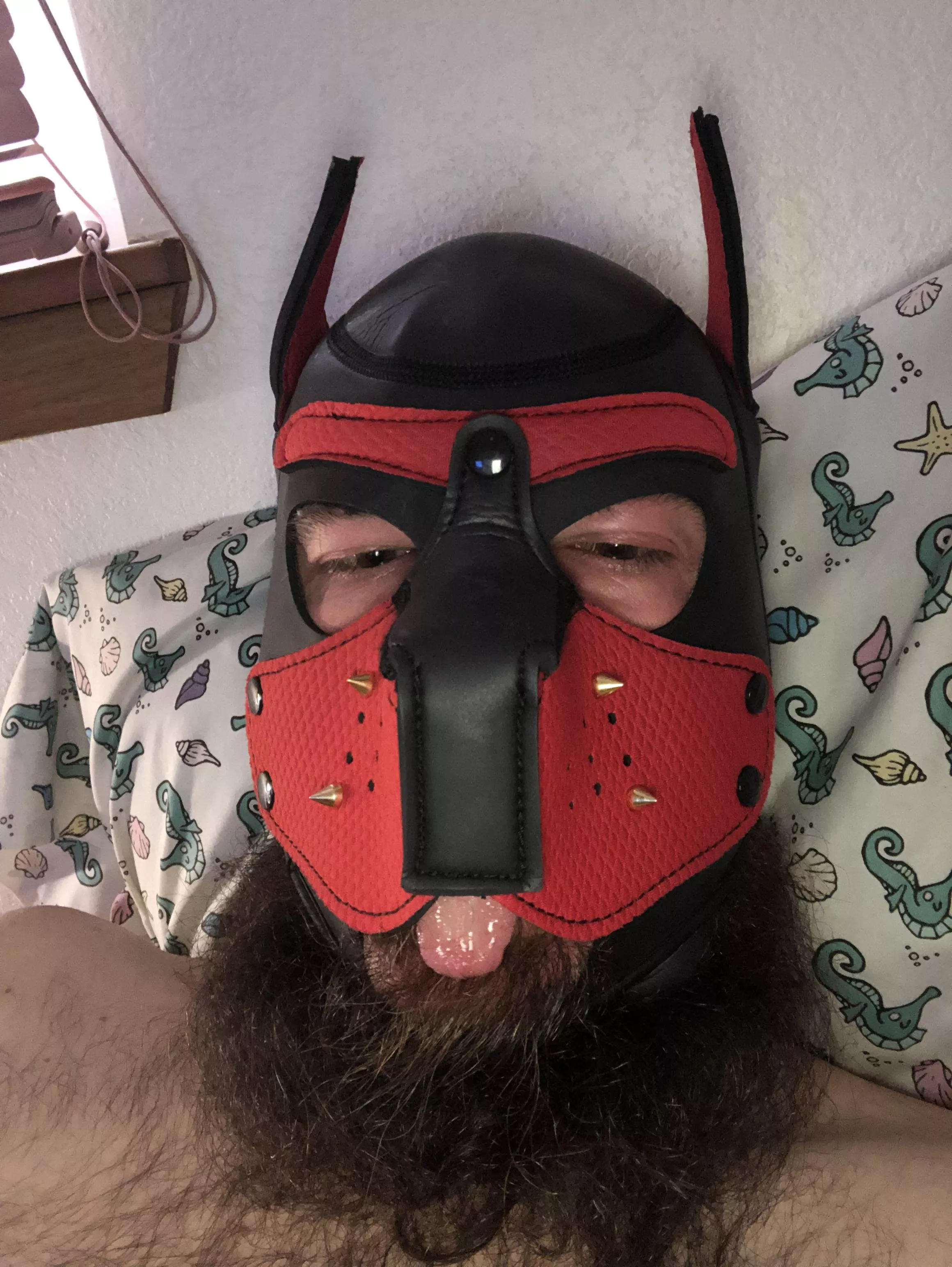 *mlem* posted by SubForge