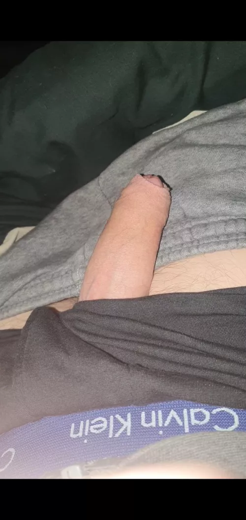 Morning by Chemical-Worker-1224