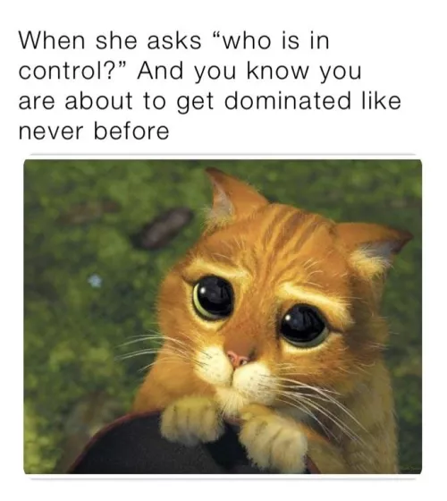 My first meme hihii by maskedkiti1