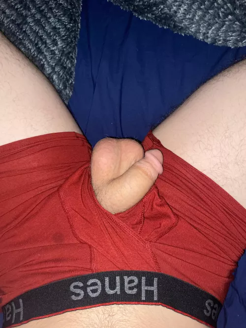 My true softie by Distinct-Opposite-59